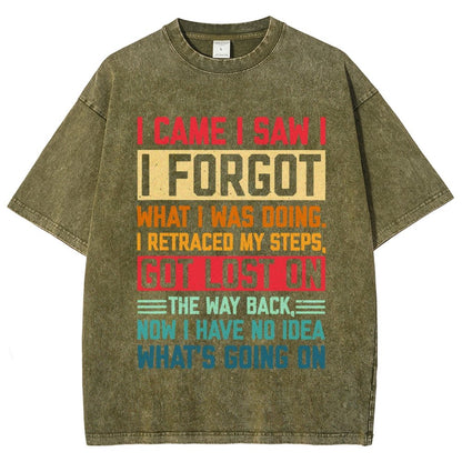 I Came I Saw I Forgot What I Was Doing Sarcastic Vintage Distressed T-shirt