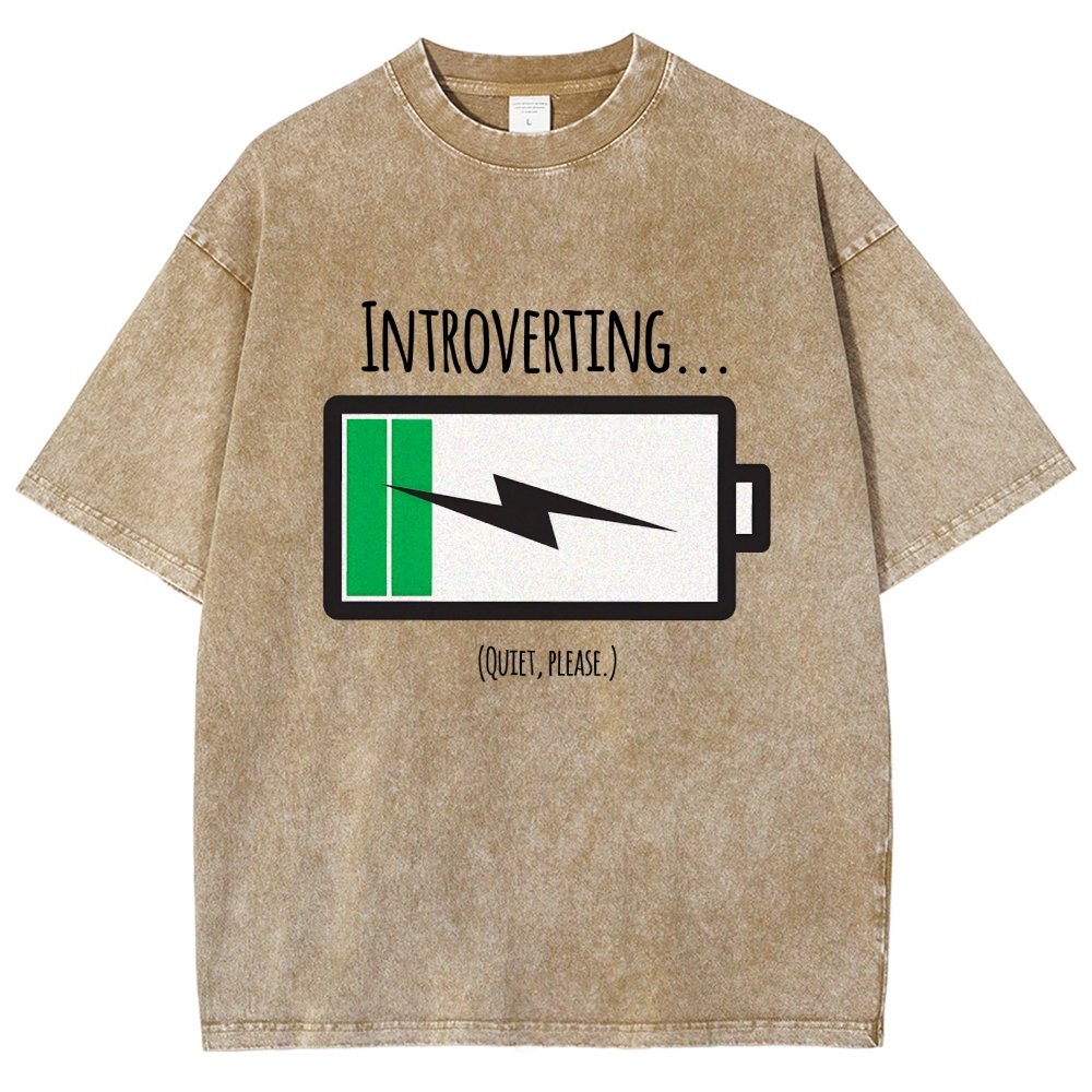 Introverting Vintage Distressed T-shirt