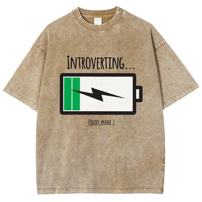 Introverting Vintage Distressed T-shirt