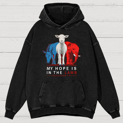 My Hope Is In The Lamb Vintage Distressed Hoodie