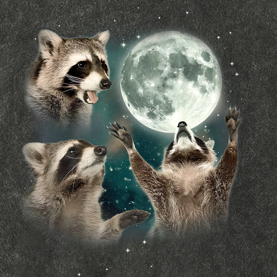 Three Raccoons Moon Vintage Distressed T-shirt