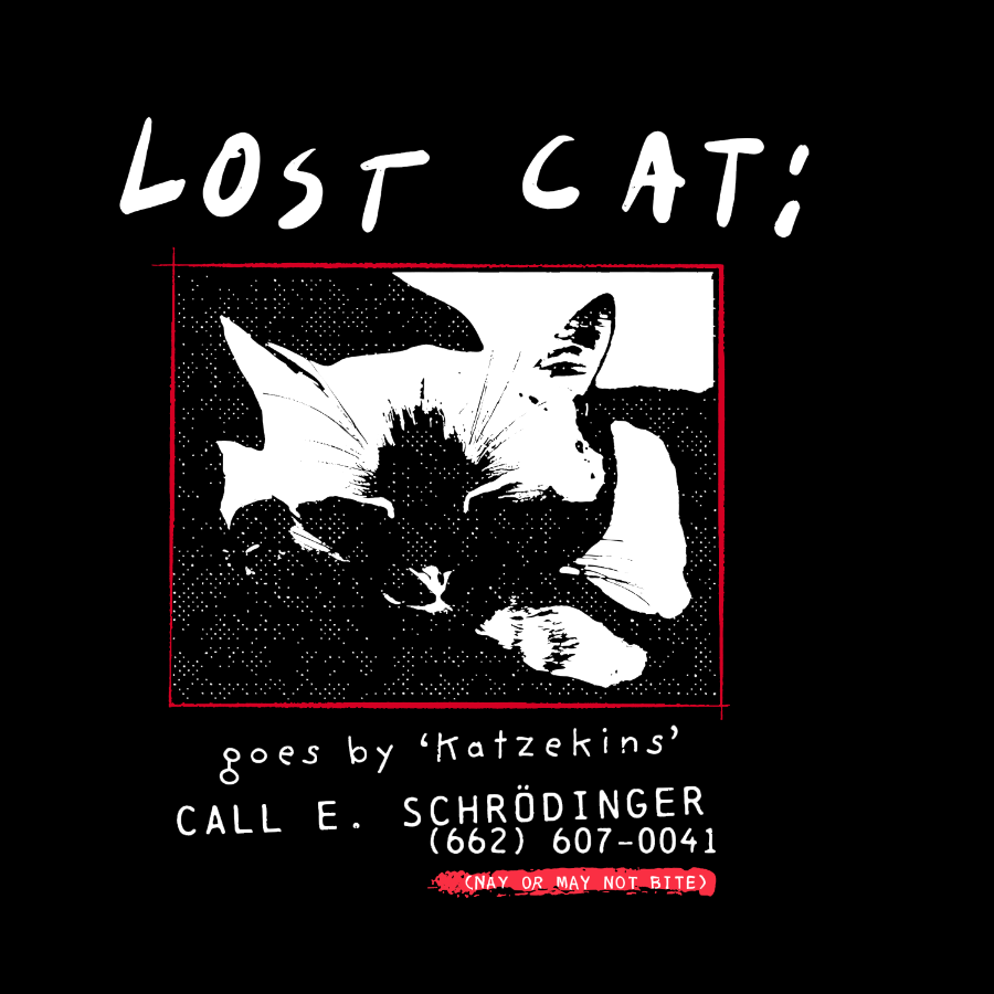 Schrödinger's Lost Cat Geeky T-Shirt