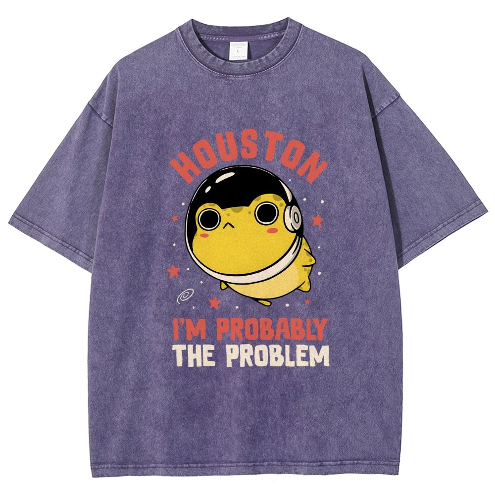 Houston Im Probably The Problem Vintage Distressed T-shirt