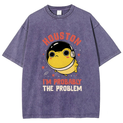 Houston Im Probably The Problem Vintage Distressed T-shirt