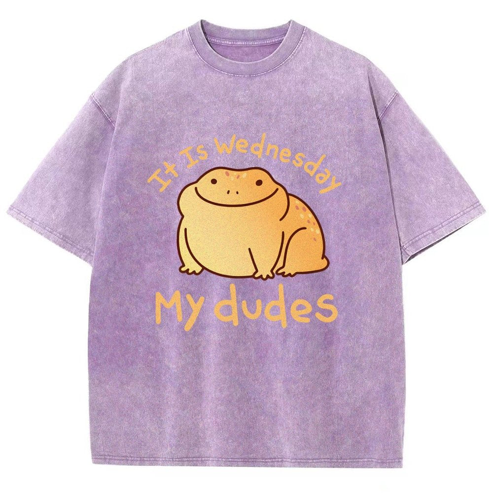 It's Wednesday My Dudes Vintage Distressed T-shirt