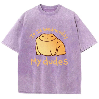 It's Wednesday My Dudes Vintage Distressed T-shirt