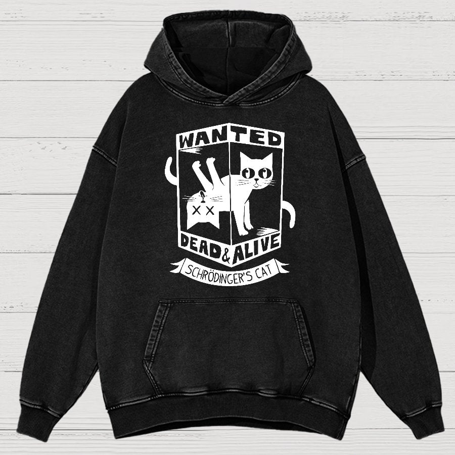 Schrödinger's Cat Mathe, Physics Vintage Distressed Hoodie