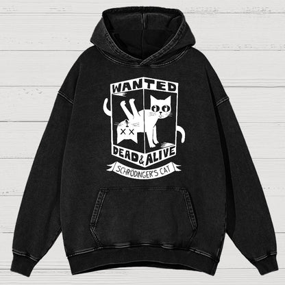 Schrödinger's Cat Mathe, Physics Vintage Distressed Hoodie