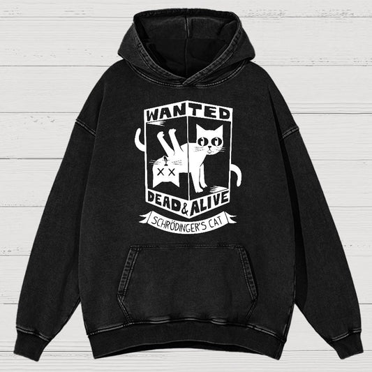 Schrödinger's Cat Mathe, Physics Vintage Distressed Hoodie