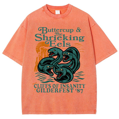 Buttercup & the Shrieking Eels at Harmonyfest Vintage Distressed T-shirt