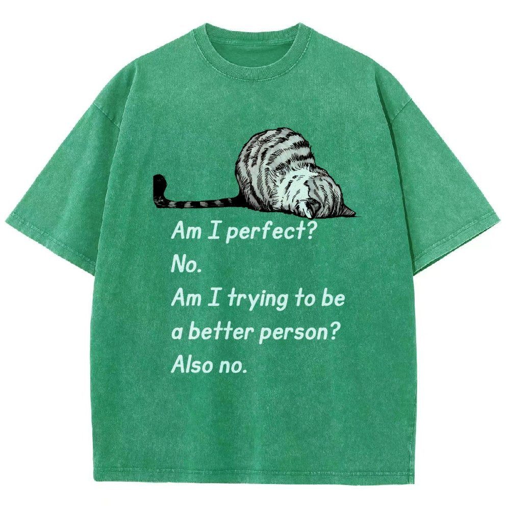 Am I Perfect No Vintage Distressed T-shirt
