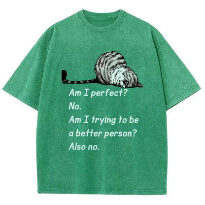 Am I Perfect No Vintage Distressed T-shirt