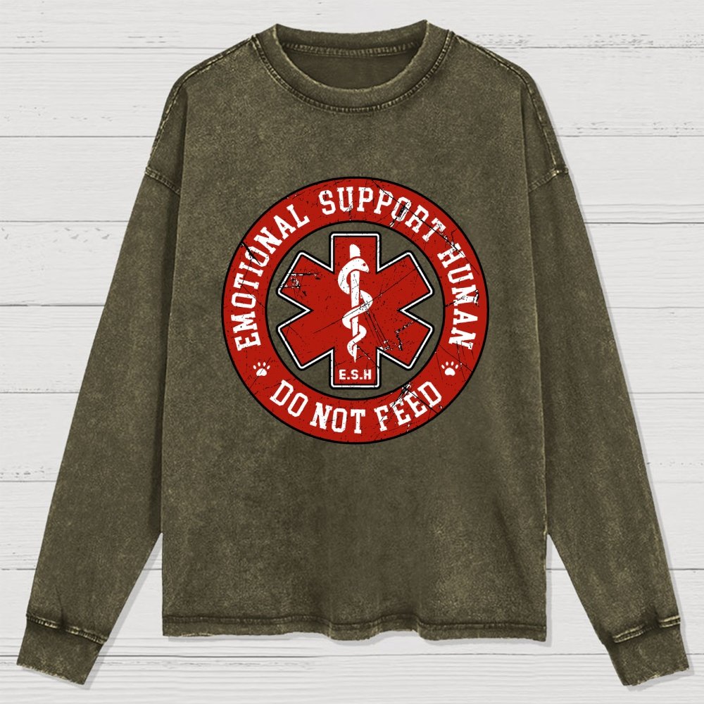 Do Not Feed Washed Long Sleeve Tee