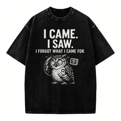 I Came. I Saw. I Forgot What I Came For. Funny Owl Vintage T-Shirt