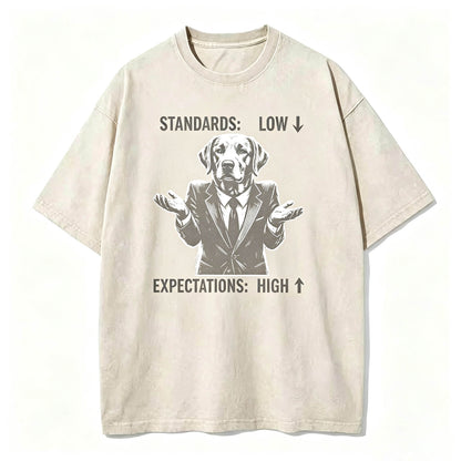 Standards Low Expectations High Funny Sarcastic T-Shirt