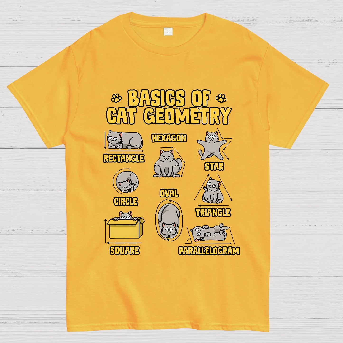 Basics of Cat Geometry Geek T-Shirt
