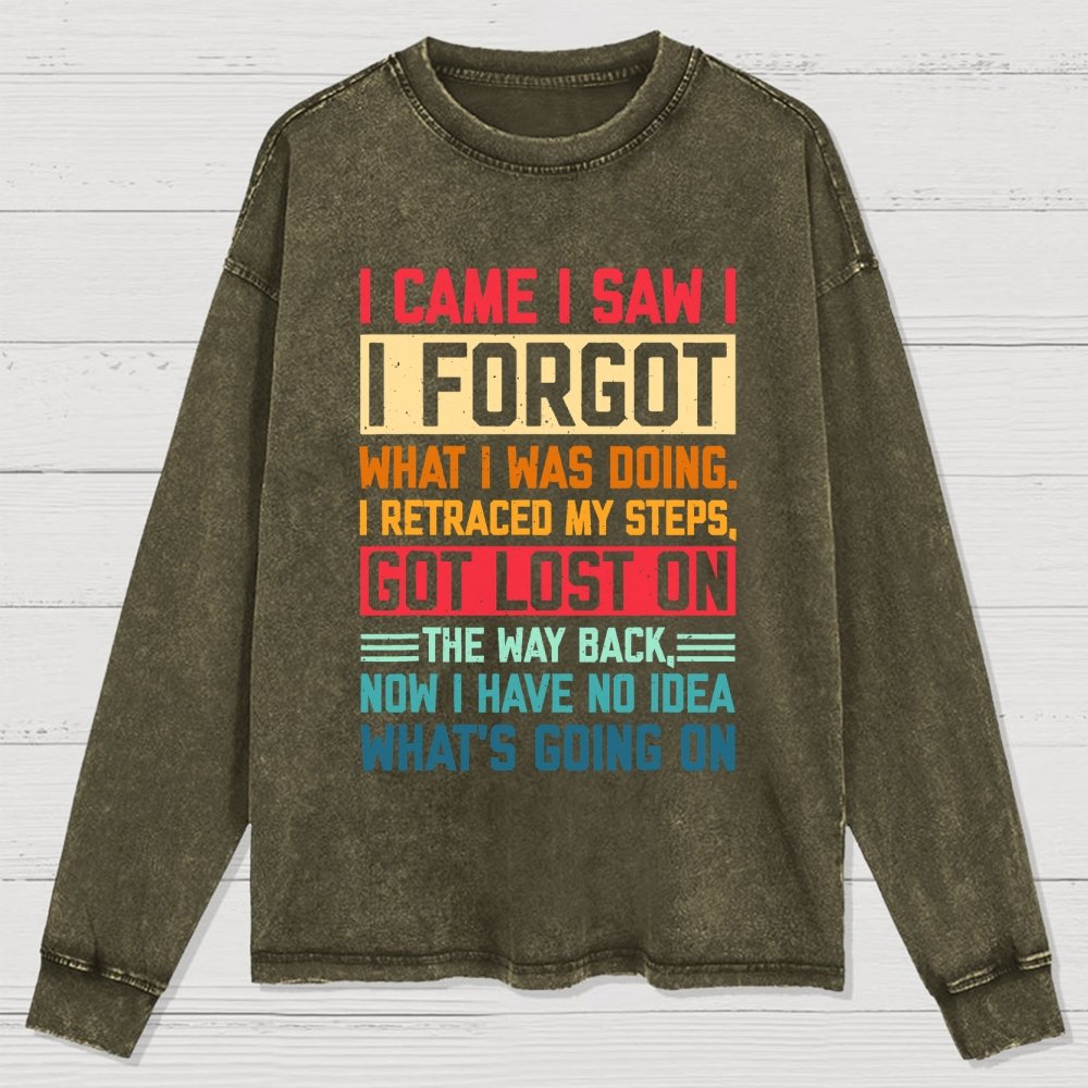 I Came I Saw I Forgot What I Was Doing Sarcastic Washed Long Sleeve Tee