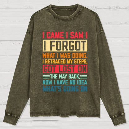 I Came I Saw I Forgot What I Was Doing Sarcastic Washed Long Sleeve Tee