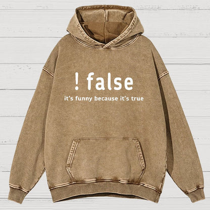 False It's Funny Because It's True Vintage Distressed Hoodie