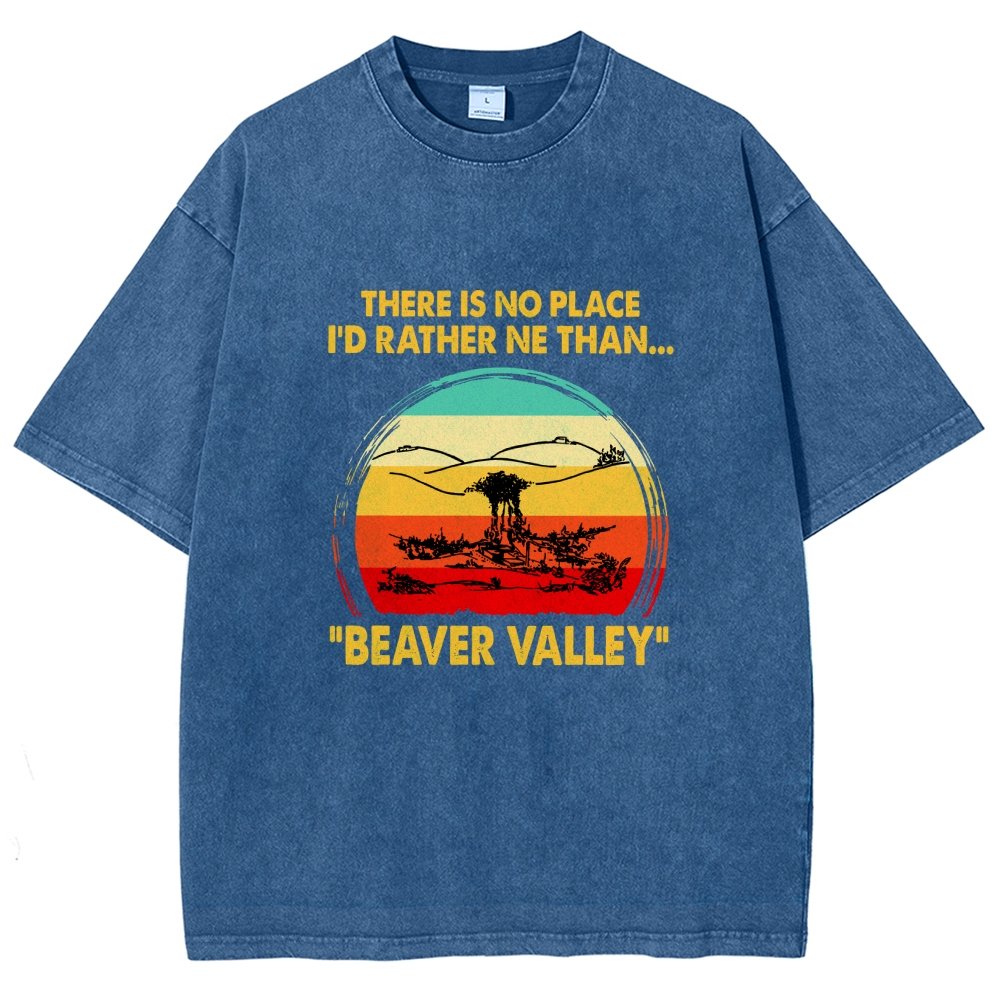 Beaver Valley Vintage Distressed T-shirt