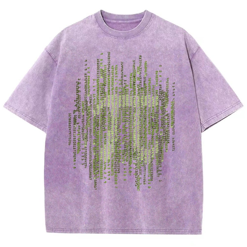 Enter The Pi Vintage Distressed T-shirt