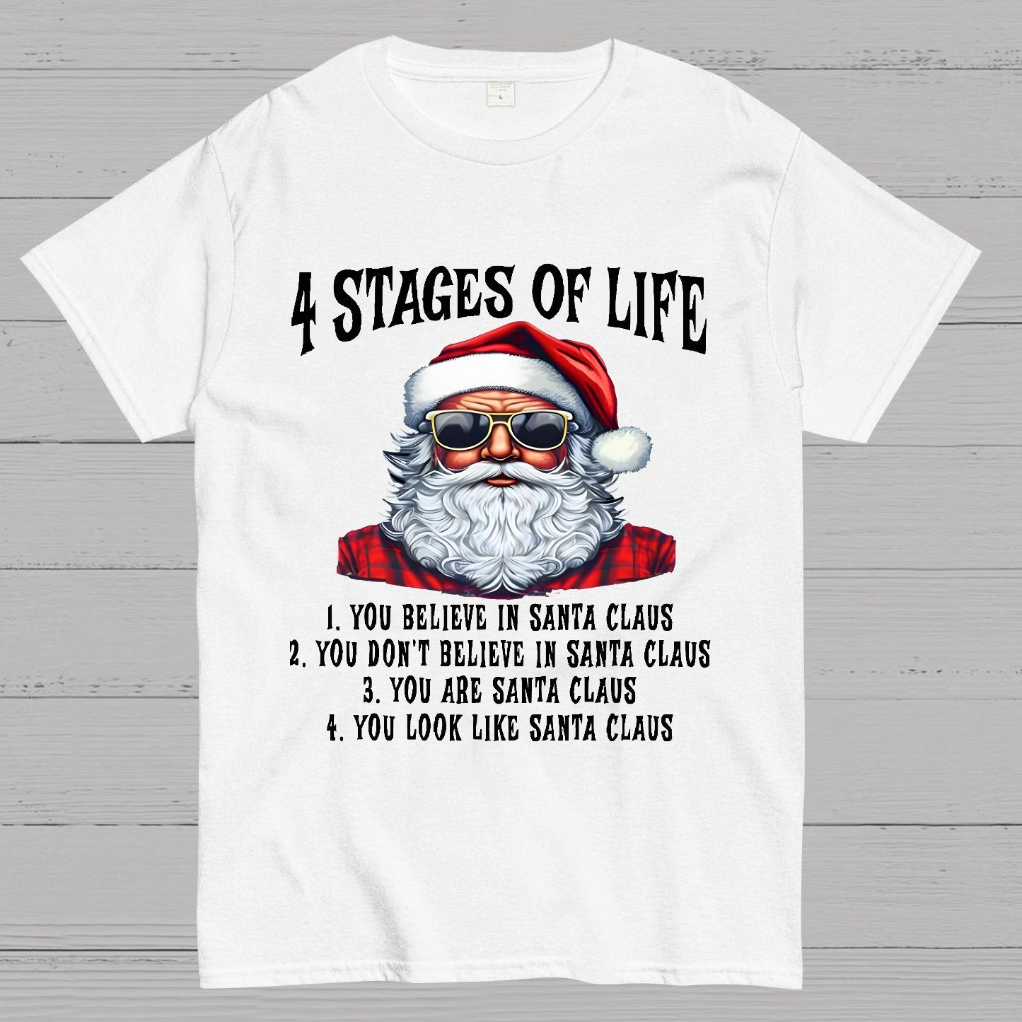 4 Stages Of Life Funny Christmas Geek T-Shirt