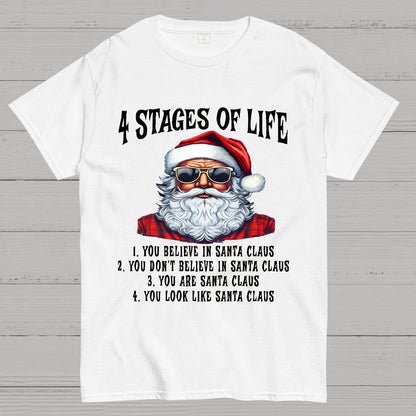 4 Stages Of Life Funny Christmas Geek T-Shirt