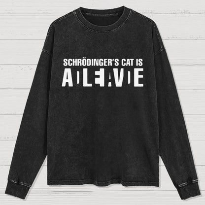 Schrödinger's Cat Adleiavde Washed Long Sleeve Tee