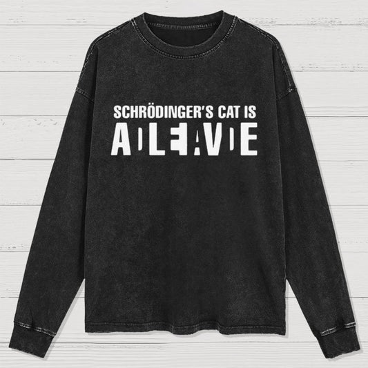 Schrödinger's Cat Adleiavde Washed Long Sleeve Tee