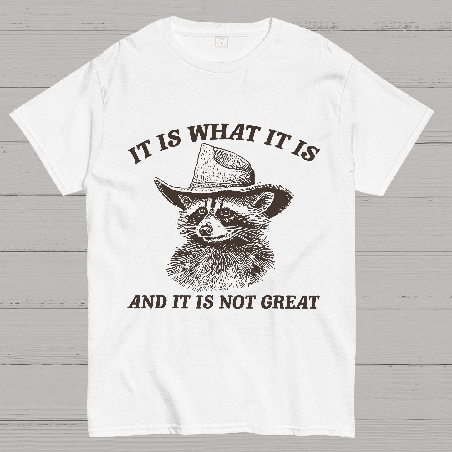 t Is What It Is And It Is Not Great Vintage Raccoon Geeky T-Shirt