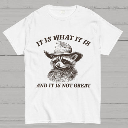 t Is What It Is And It Is Not Great Vintage Raccoon Geeky T-Shirt
