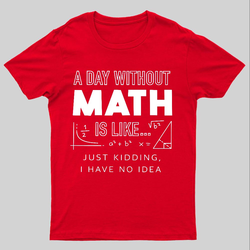 A Day Without Math Is Like Geeky T-Shirt