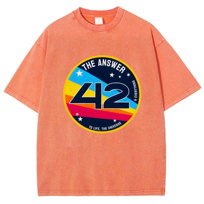 The Answer is 42 Vintage Distressed T-shirt