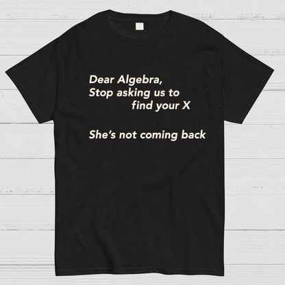 Dear Algebra, Stop Asking Us To Find Your X-1 Geeky T-Shirt