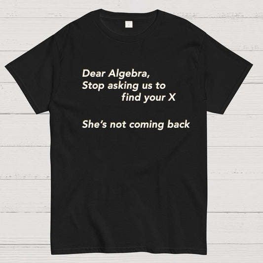 Dear Algebra, Stop Asking Us To Find Your X-1 Geeky T-Shirt