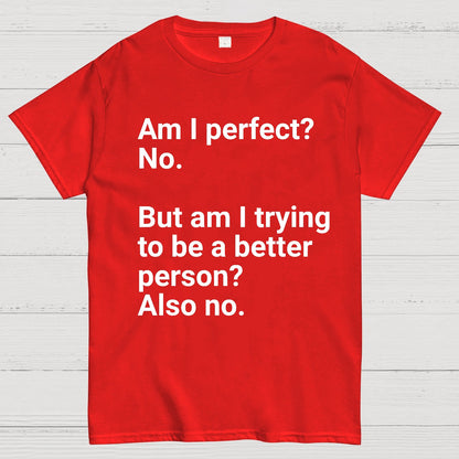 Am I Perfect No Nerdy T-Shirt