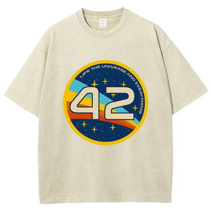 42 The Answer Of Everything Vintage Distressed T-shirt