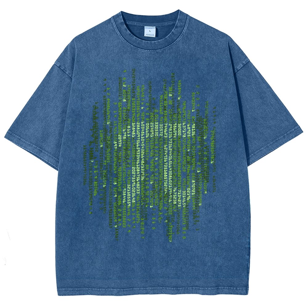 Enter The Pi Vintage Distressed T-shirt