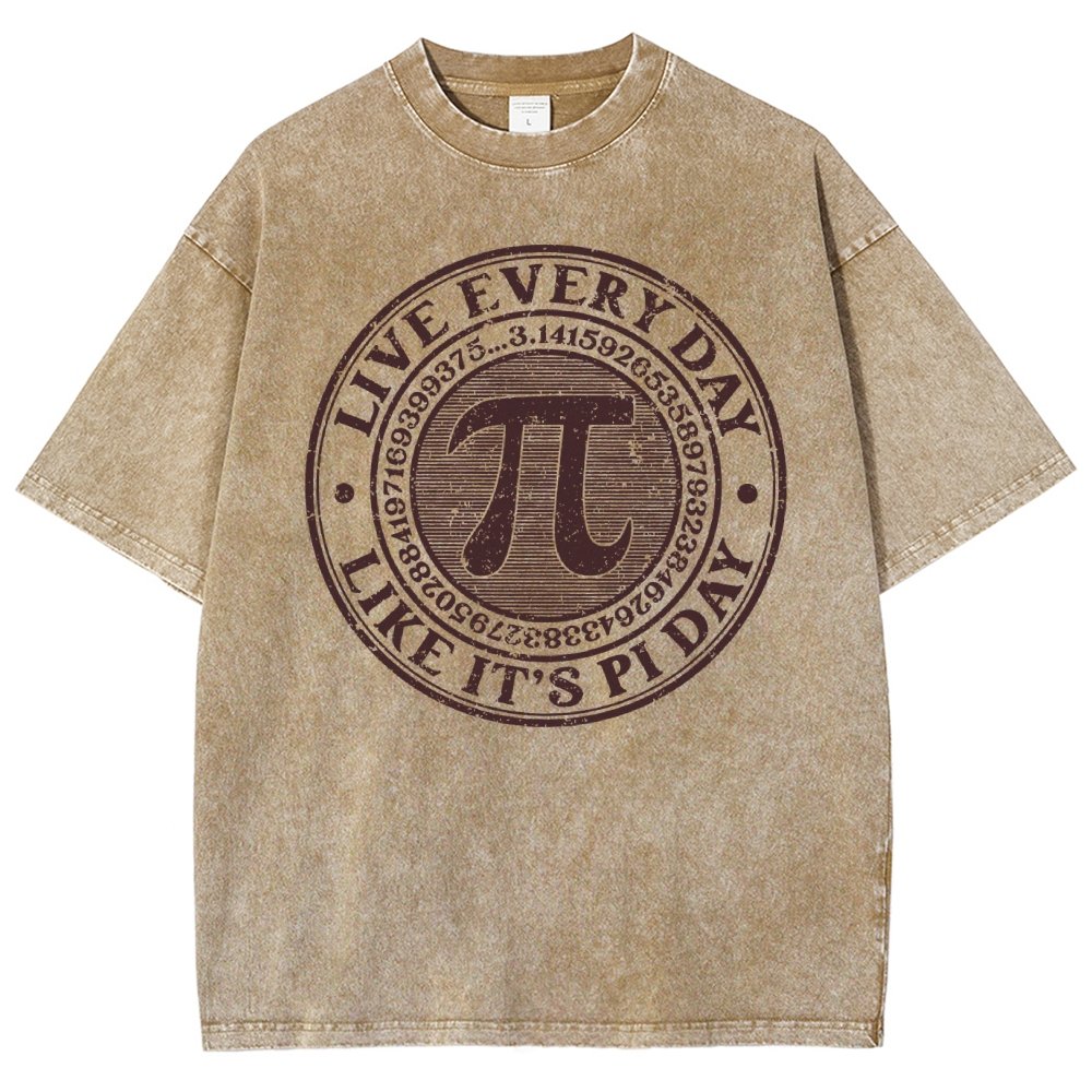 Vintage Pi Day Vintage Distressed T-shirt