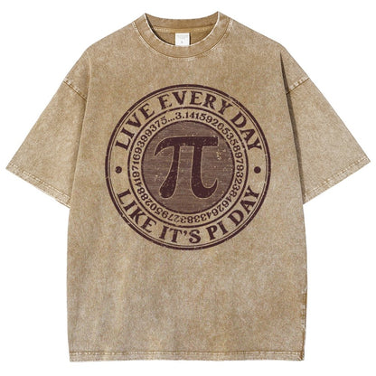 Vintage Pi Day Vintage Distressed T-shirt