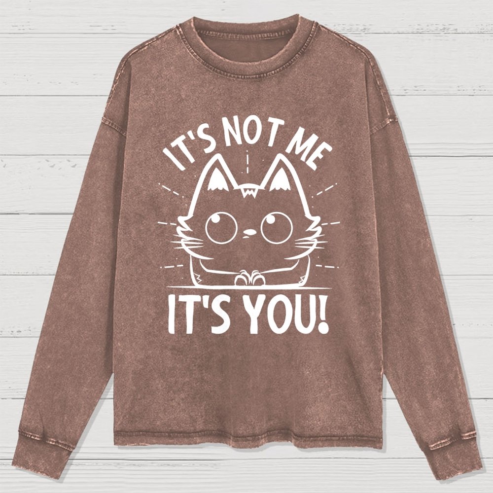 It's Not me It's You Washed Long Sleeve Tee