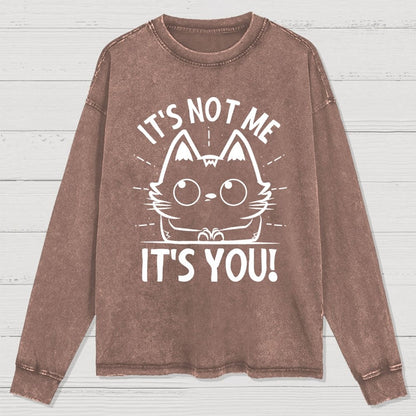 It's Not me It's You Washed Long Sleeve Tee