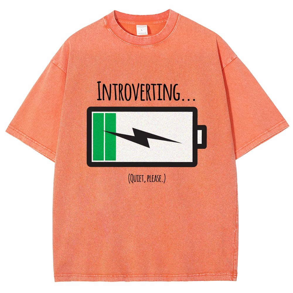 Introverting Vintage Distressed T-shirt