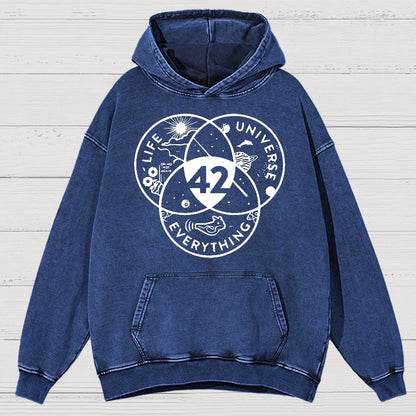42 Answer To Life The Universe Vintage Distressed Hoodie