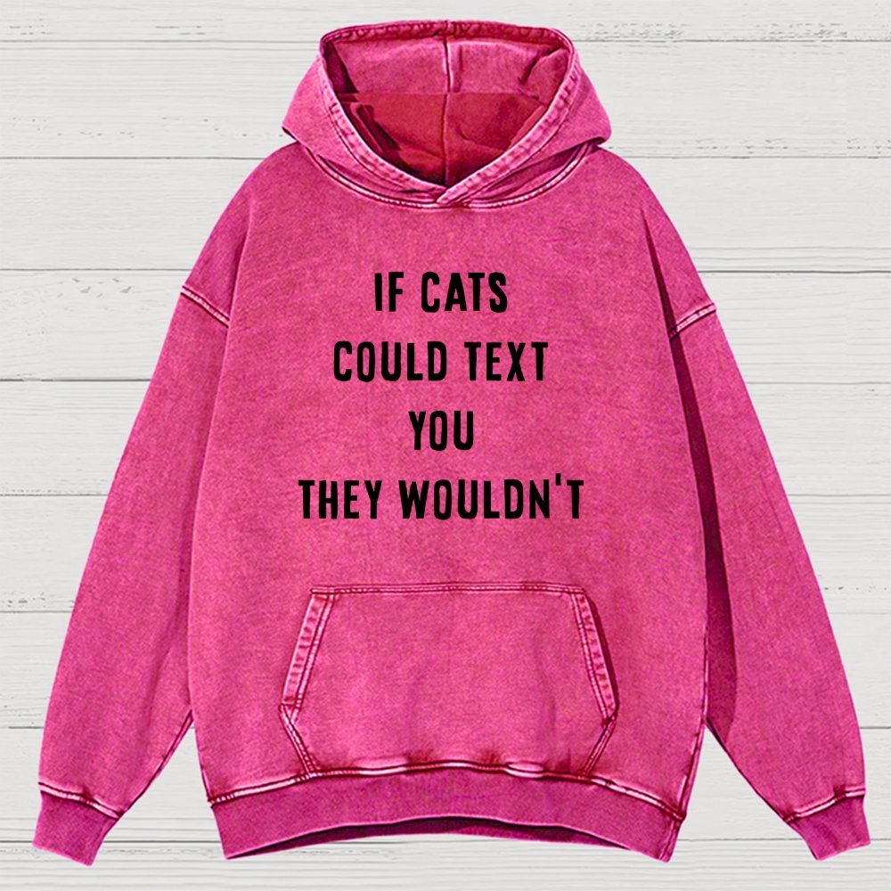 If Cats Could Text You Vintage Distressed Hoodie