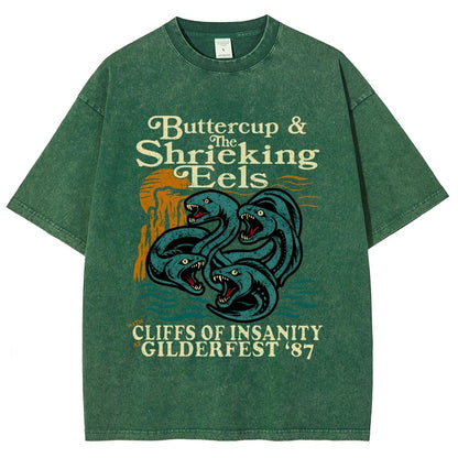 Buttercup & the Shrieking Eels at Harmonyfest Vintage Distressed T-shirt
