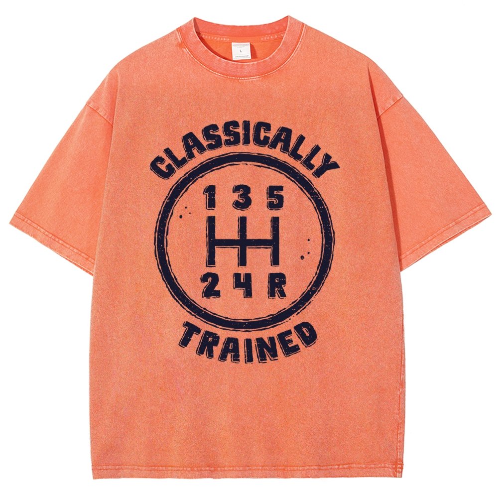 Classically Trained Vintage Distressed T-shirt