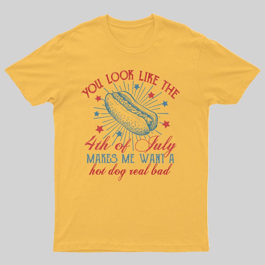 You Look Like the 4th of July Geeky T-Shirt