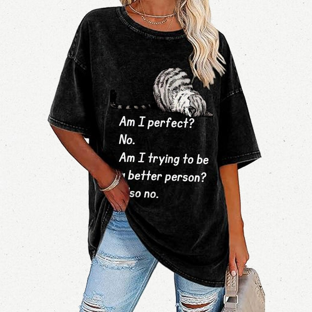 Am I Perfect No Vintage Distressed T-shirt