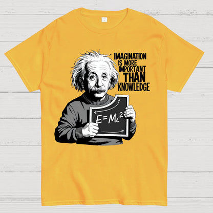 Imagination is more important than knowledge Geek T-Shirt